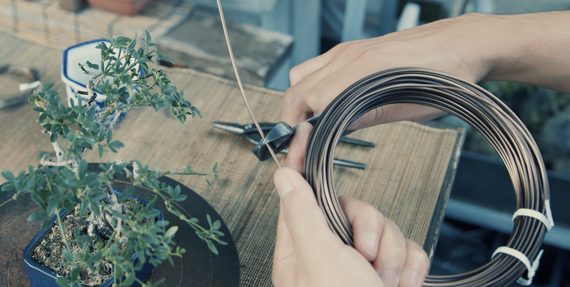 Cutting aluminum wire to length for bonsai wiring