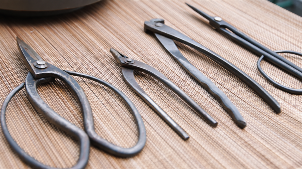 How to Choose Bonsai Scissors: Uses, Shape, and Materials